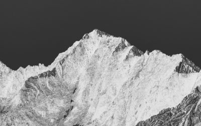 The Nobel Prizes Are Broken